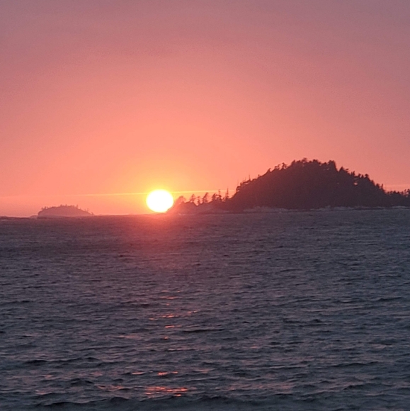 Meet your Posher, Felicia - Picture 1 of 2